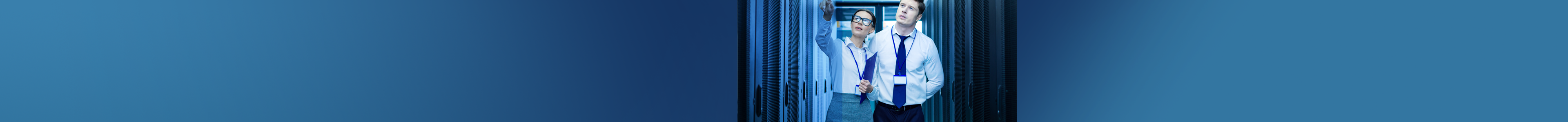 Przyjazny Audyt Oprogramowania